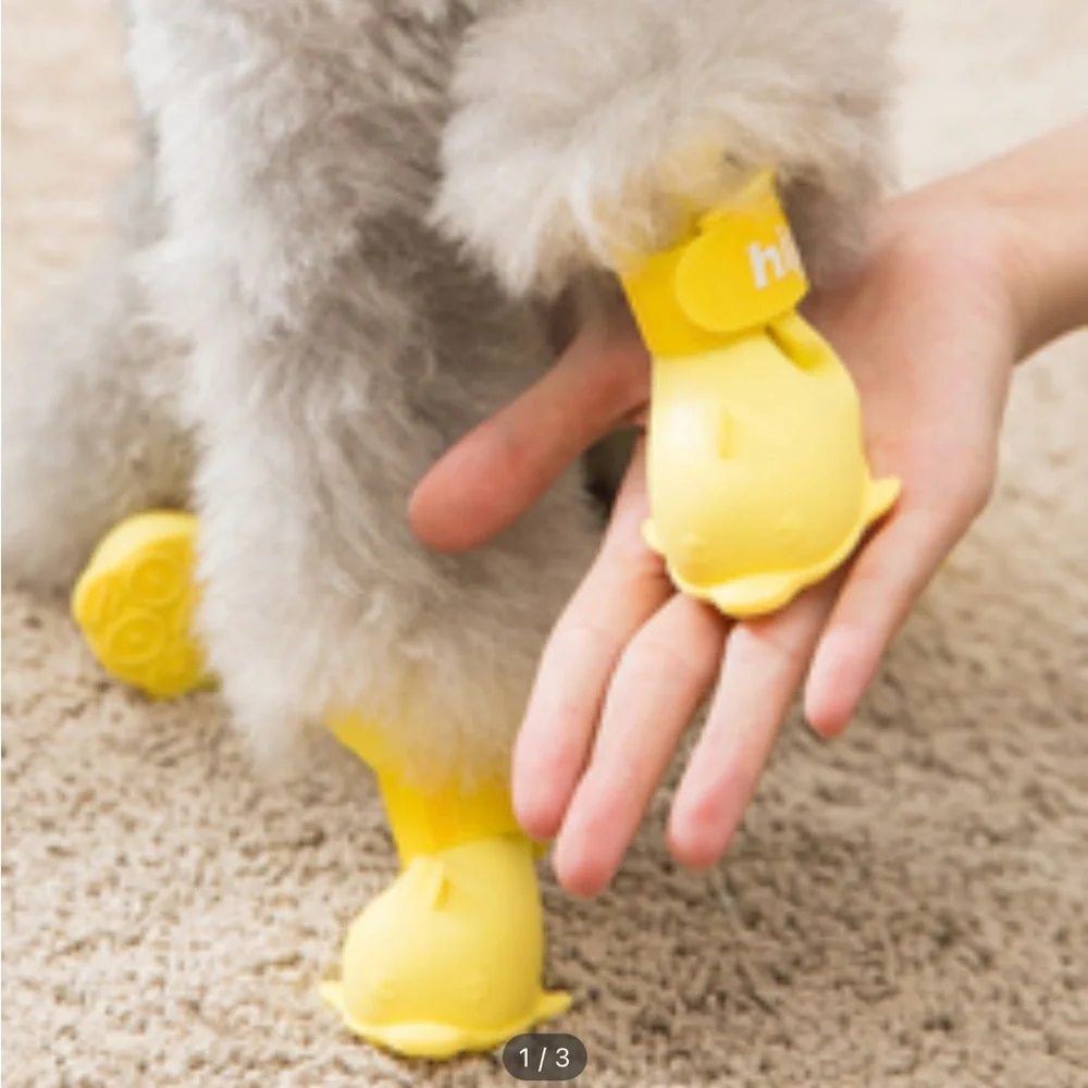 Dog Rain Boots ☔️🌧️🐶🐕NWOT